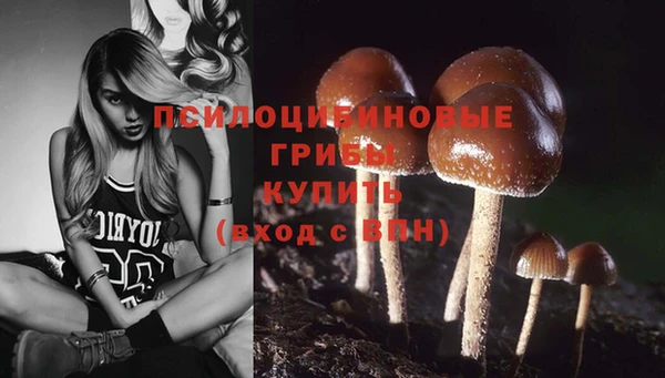 гашиш Нефтекумск