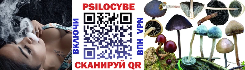 Купить  Арзамас  Галлюциногенные грибы Cubensis 